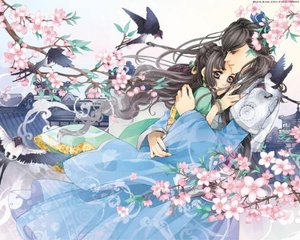 流氓网站入口